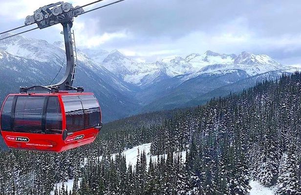 Whistler Sightseeing Tour from Vancouver: See Horseshoe Bay and Shannon Falls