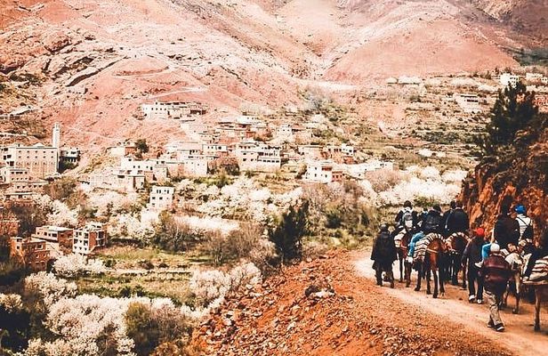 Marrakech to the Atlas Mountains: Nature, Culture& Three Valleys