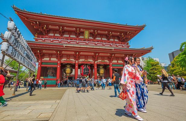 Tokyo Private Tour by Vehicle with English-Speaking Chauffeur