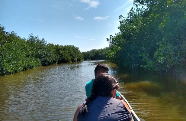 Live like a fisherman on the Mangroves Rout