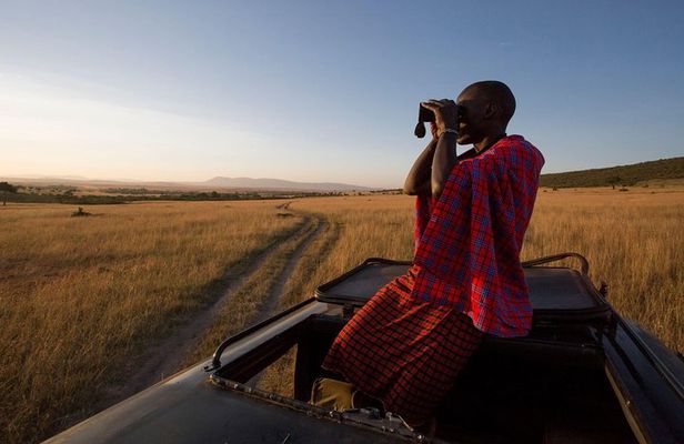 1-Day Maasai Mara Safari