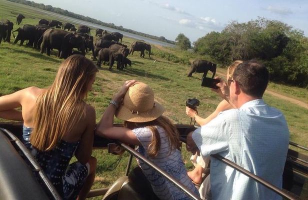 Minneriya Elephant Safari With Sigiriya Rock & Dambulla Cave Temples (Full Day)