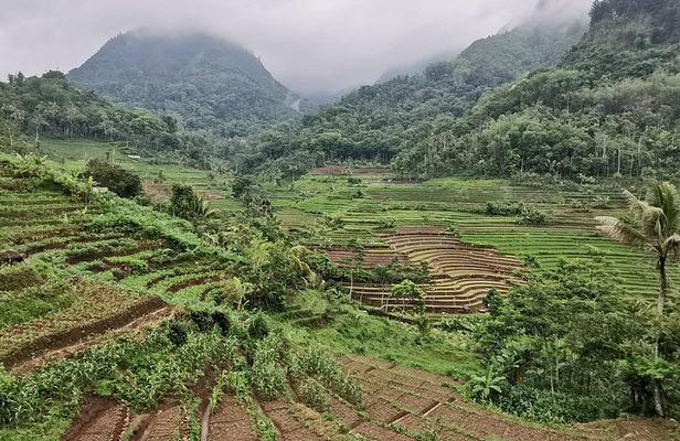Mysterious Ulen Sentalu Museum & Incredible view Trekking Selogriyo Temple