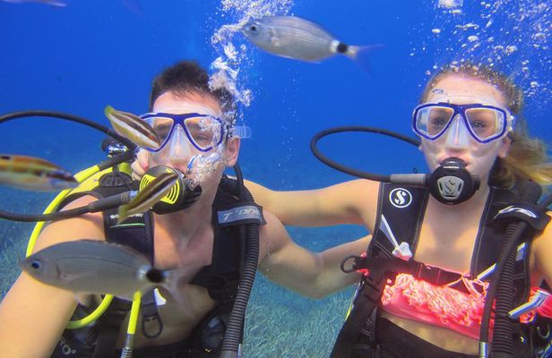 Side: Scuba Diving Experience