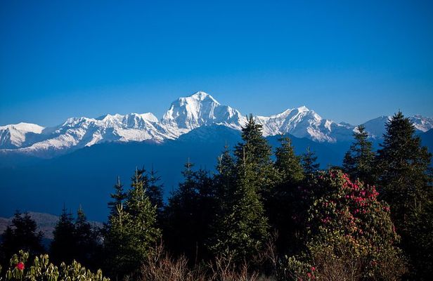 2 Days Australian Camp Trek from Pokhara