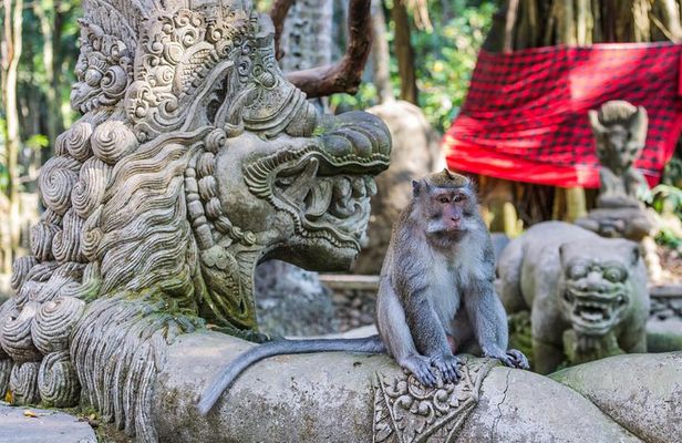 Full-Day Ayung River White Water Rafting and Ubud Tour