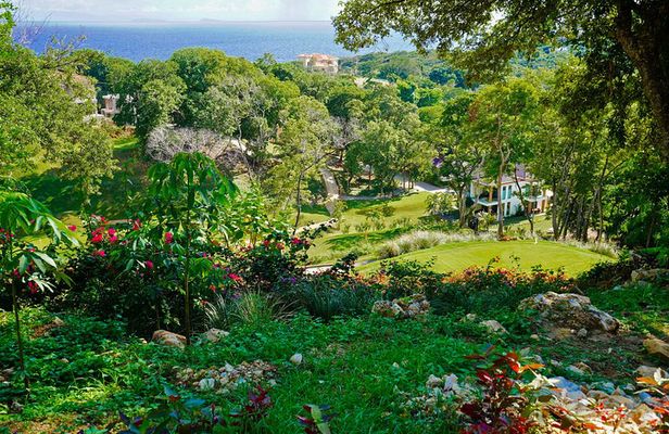 Roatan Golf at The Black Iguana Course