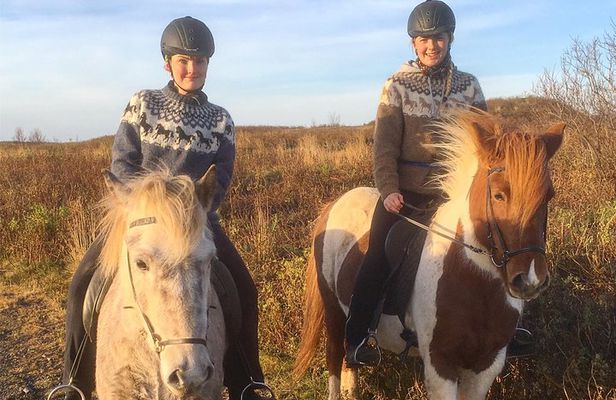 2 hours Private Horse Riding to Lake Hafravatn, Reykjavík - Mos