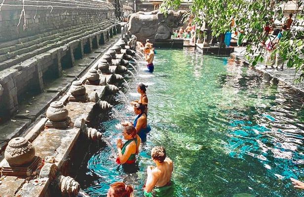 Bali: Ubud Highlights Tour with Private Guide and Transfers