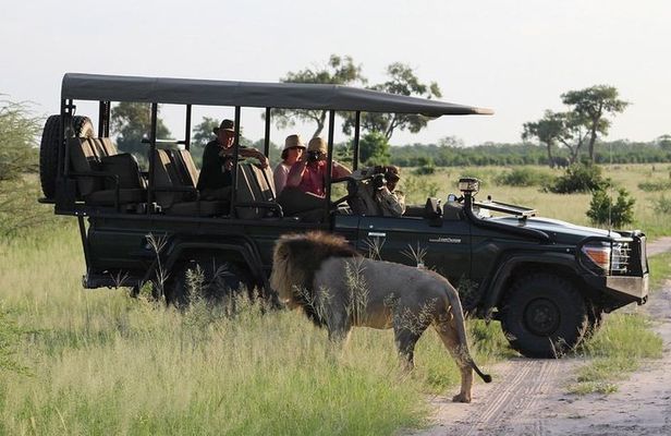 Chobe Day Trip from Livingstone