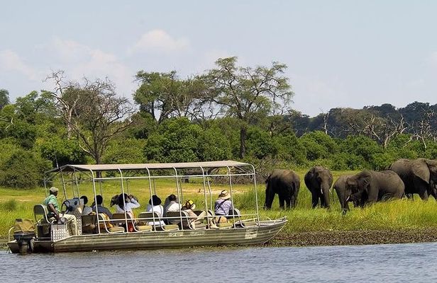 Chobe Day Trip from Livingstone