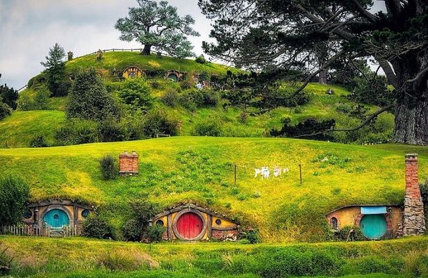 Hobbiton Movie Set Luxury Private Tour from Auckland
