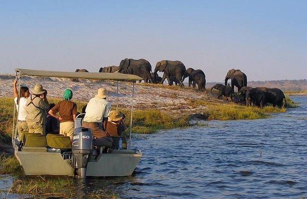 2-Day Nyerere National Park , Boat Safari & Game Drive