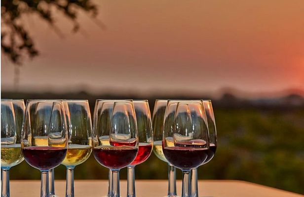 4.5 Hours Through the Grapevine Private Wine Tour