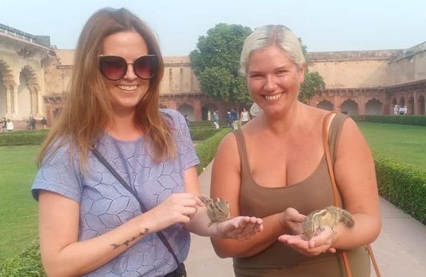 All Inclusive: Same day Taj Mahal Tour From Delhi