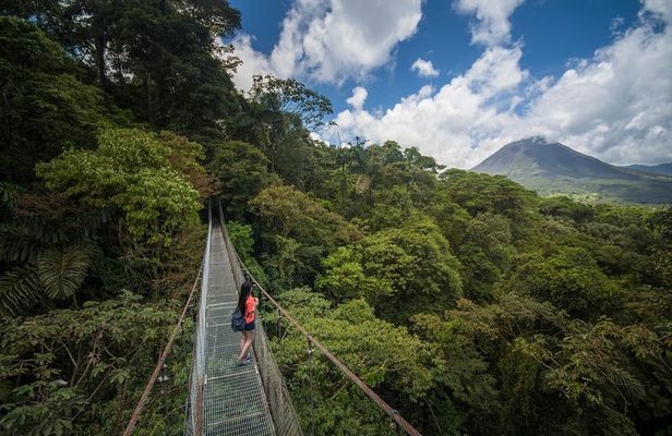 Arenal Hanging Bridges from La Fortuna