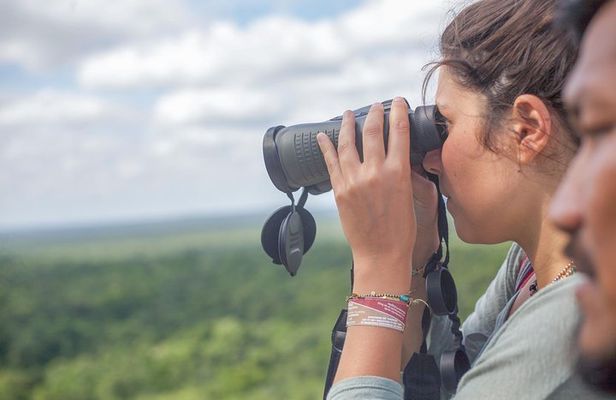Birdwatching at The Mayan Cities with certified guide