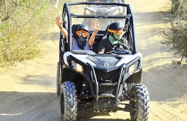 COMBO Horseback Riding & UTV Tour