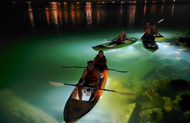 Sharkeys Glass Bottom Fish Feeding LED Night Tour St. Pete Beach