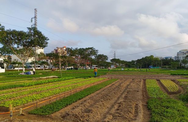 Da Nang Farming Bike Tour & Local Food Experience