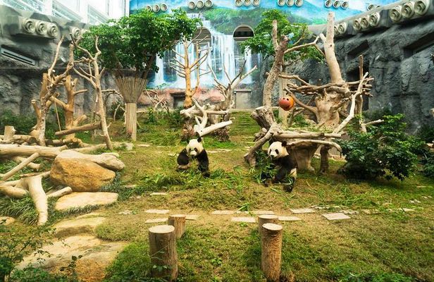 Macau Private Tour with an Insider