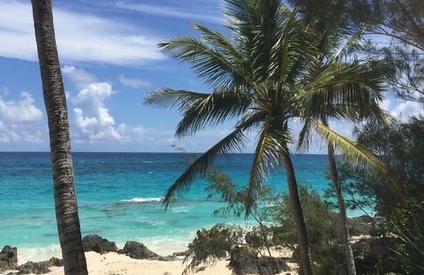 Bermuda Beach Hop Experience