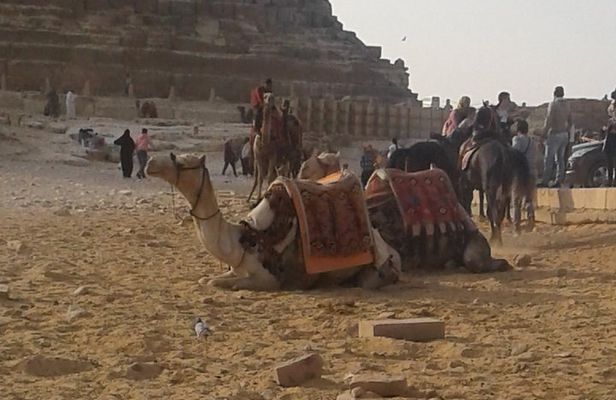 Day Tour To Giza Pyramids With Camel Ride And Egyptian Museum In Cairo