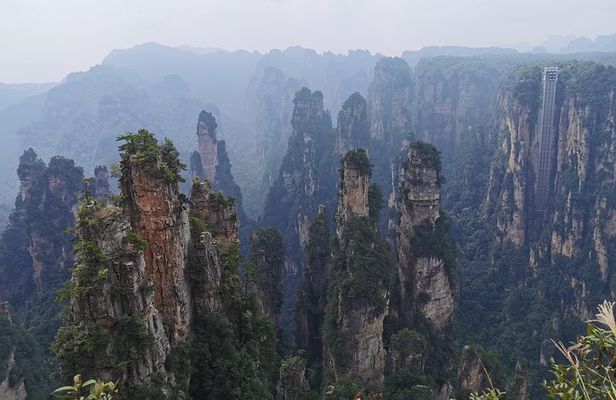 Private Day Tour: Discover Zhangjiajie National Forest Park-Avatar Mountain