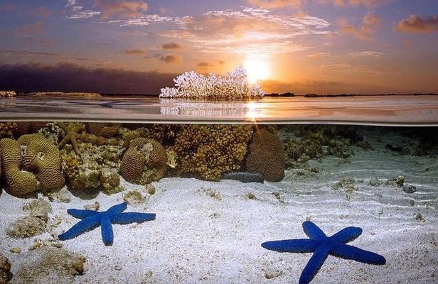 Bunaken Island three-point snorkeling includes lunch and shuttle