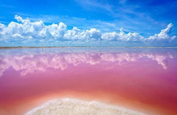 Las Coloradas and Río Lagartos Private Tour
