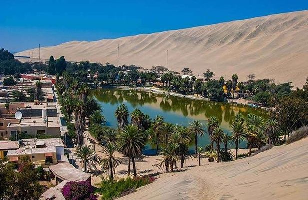 Full Day Paracas - Ica - Oasis Huacachina
