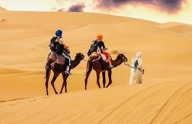 A luxury tour desert from Marrakech kasbah ben hedou ouarzazat gorges dades fes