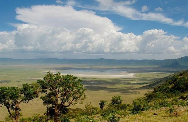 1 Day: Taste of Wildlife to Ngorongoro Crater