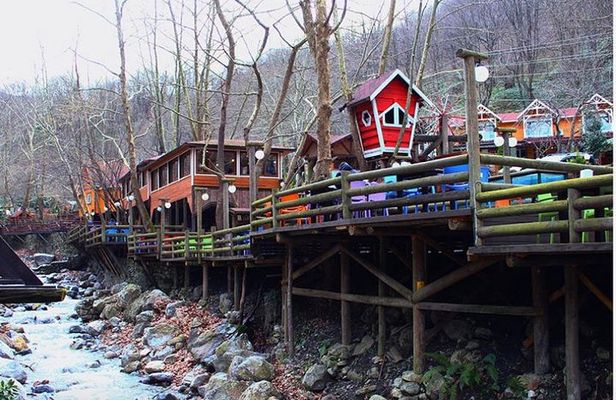 Sapanca and Zoo Private Tour From Istanbul - VIP Minivan - Best Quality 