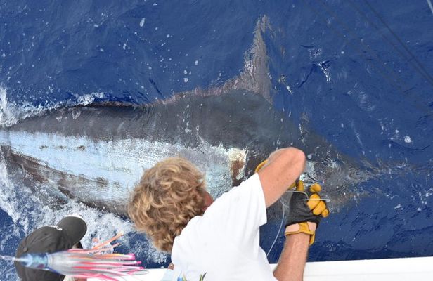6 Hour Fishing Charter