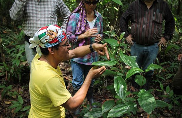 Amazon Untamed Expedition 3 Days and 2 Nights pacaya samiria
