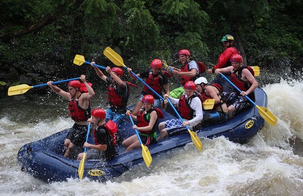 White Water Rafting Experience on the Upper Pigeon River