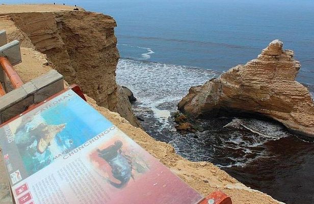 Paracas National Reserve Half Day Tour