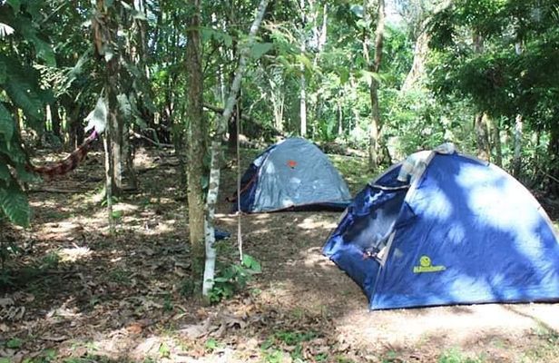 10-Day Expeditions in Dorado Lake Pacaya Samiria National Reserve