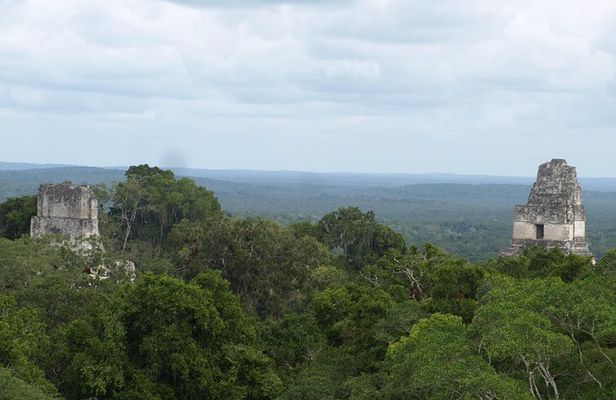 Tikal Maya Site with Local Guide & Lunch