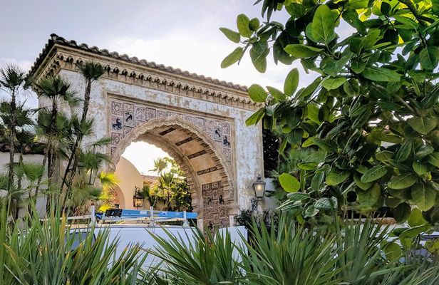 Palm Beach Sightseeing Tour