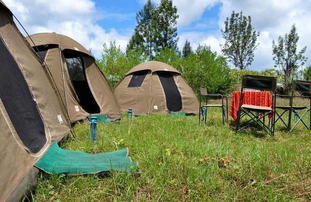 5 days into the heart of serengeti (serengeti, ngorongoro, lake manyara)