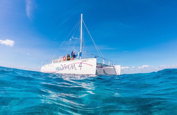 Cozumel Catamaran Snorkeling Tour & Lunch (Hotel Pick Up)