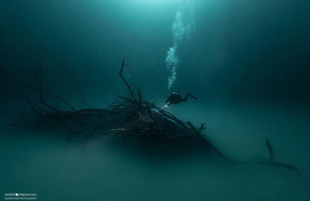 Diving in Angelita and Casa Cenotes from Riviera Maya