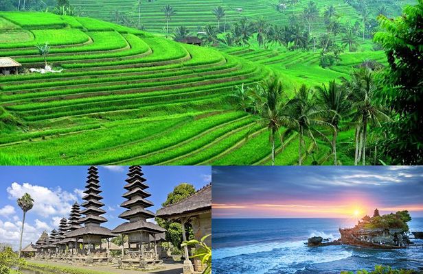 Jatiluwih Rice Terrace & Tanah Lot Tours