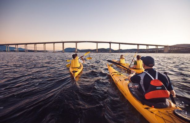 Hobart Kayak Tour