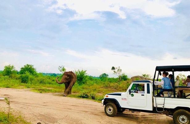 Private Udawalawe Nationalpark Jeep-Safari