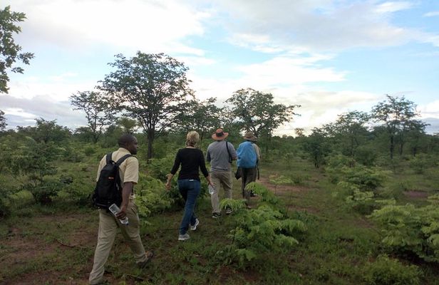 Rhino & Nature walk in the Musiotunya National Park