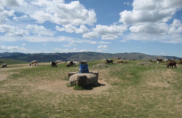 Mini Gobi and the ancient capital Kharkhorin - 4 days