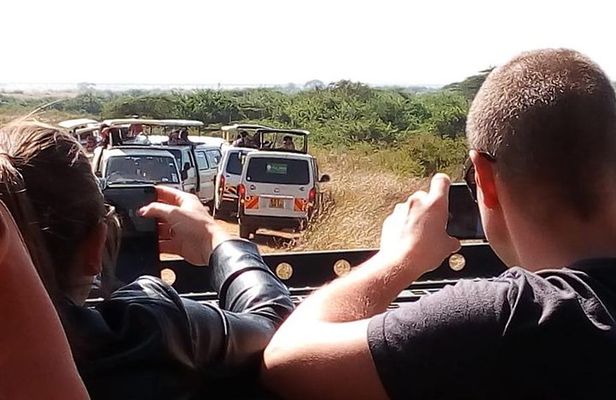 Lake Nakuru National Park Day Tour